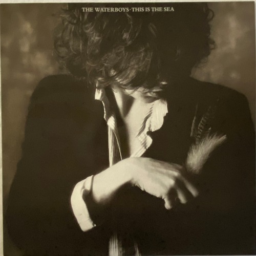 【LP】The Waterboys – This Is The Sea