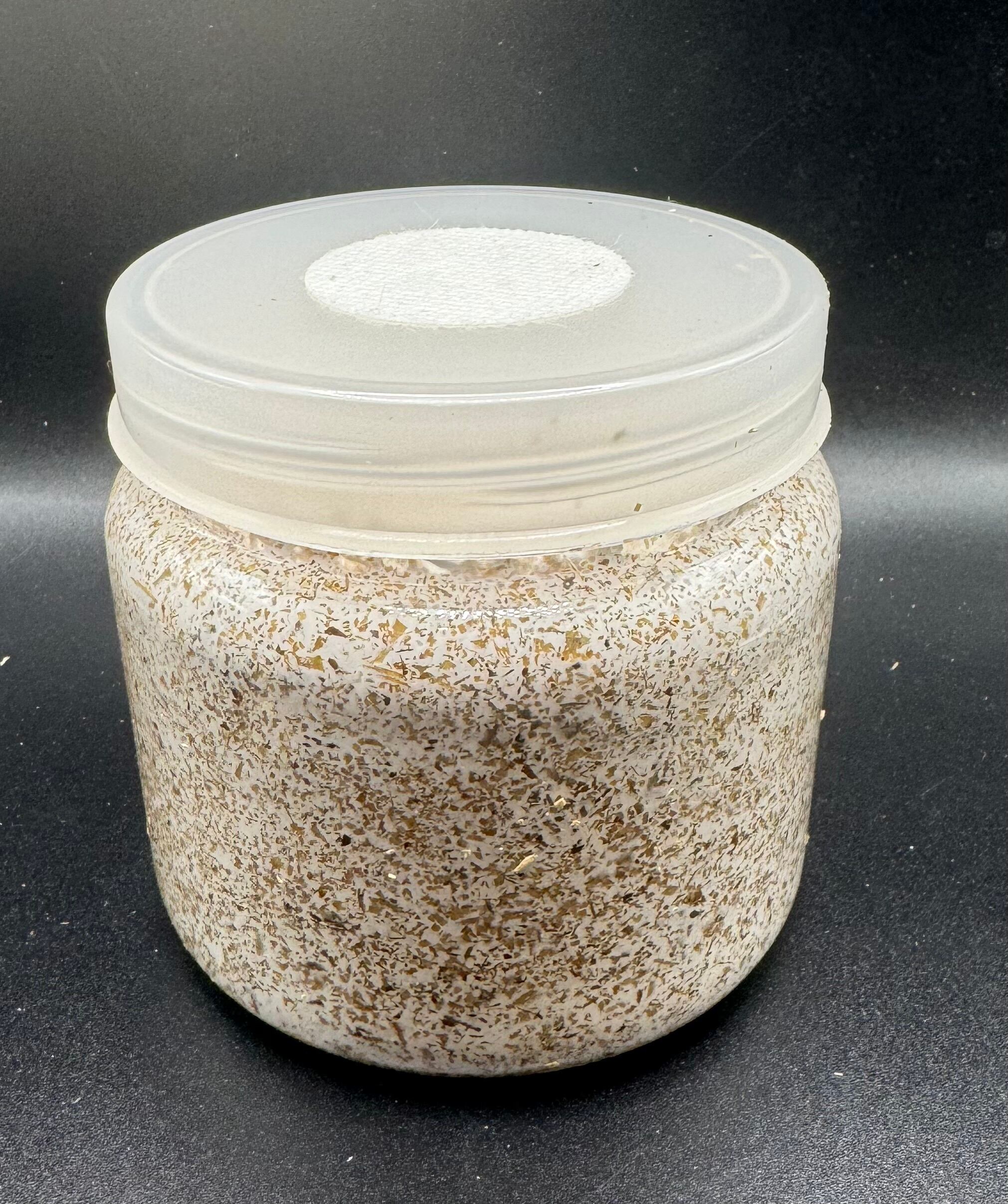 菌糸ボトル800cc＊40本