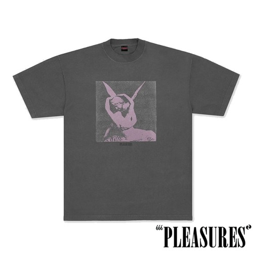 【PLEASURES/プレジャーズ】ANGEL T-SHIRT Tシャツ / CHARCOAL / SP26-13947