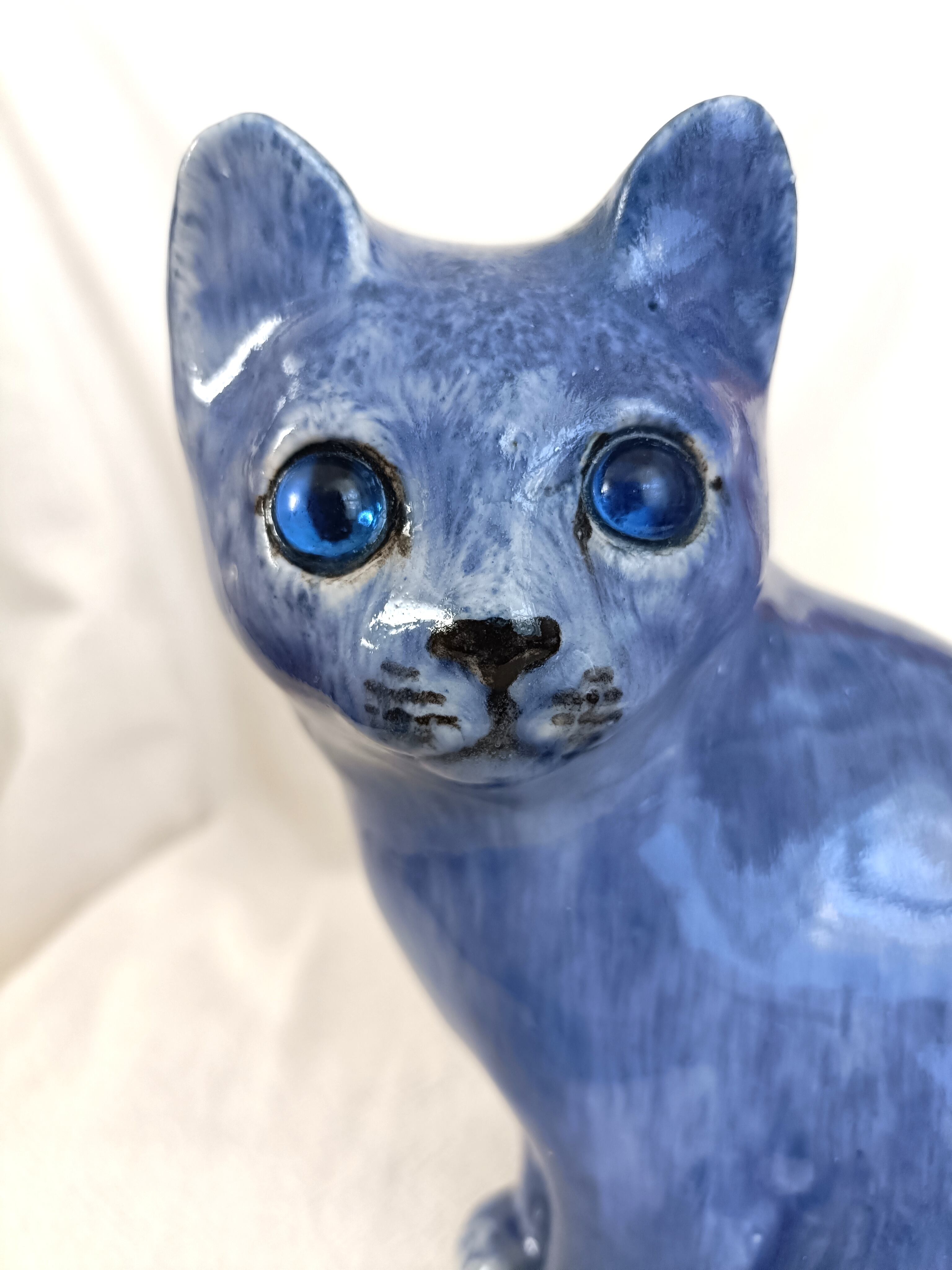 ケンジントンキャット （ウィンスタンレイキャット） ブルーキャット