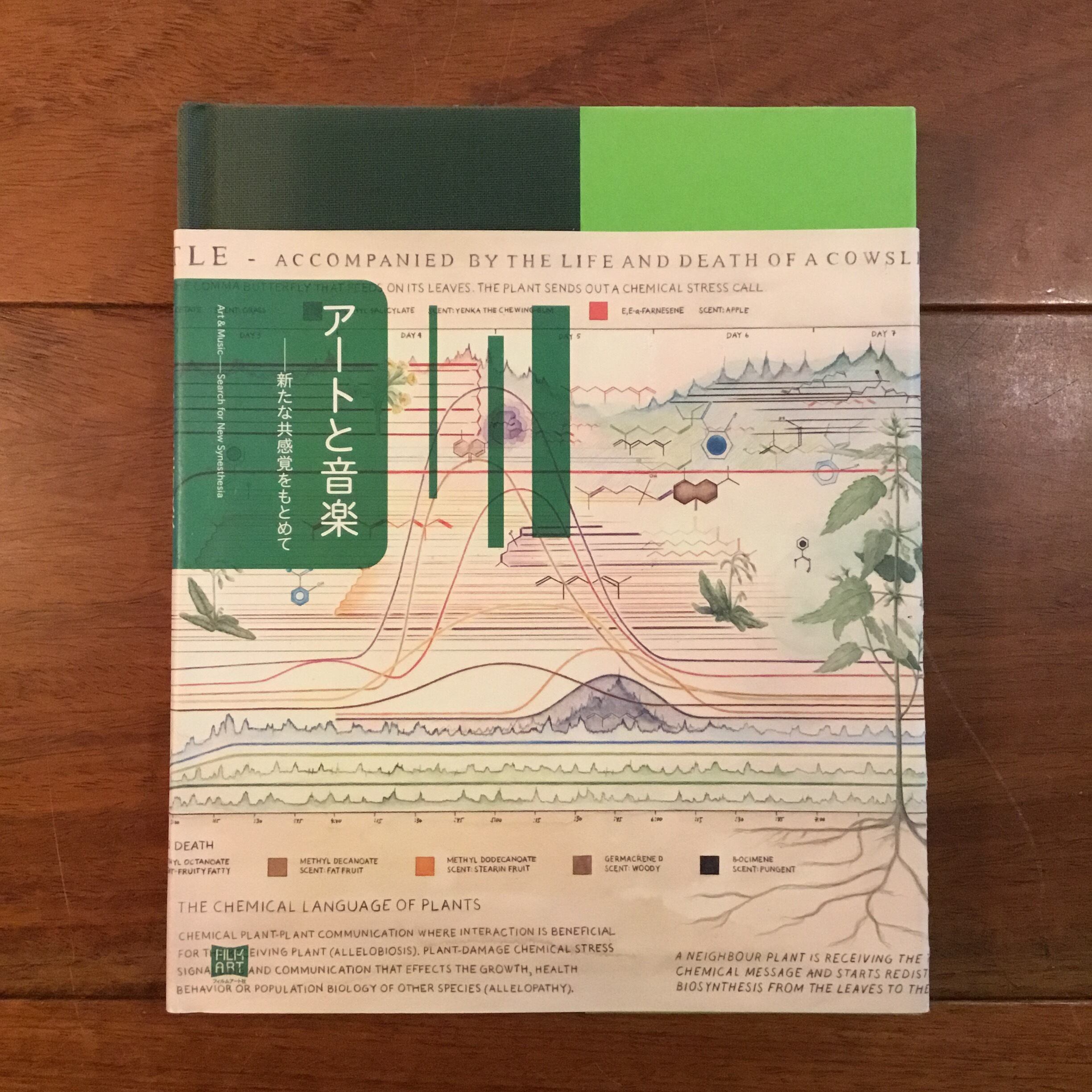 磯崎新+篠山紀信 建築行脚9 バロックの真珠 | Flying Books