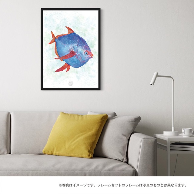 【海のいきものアートポスター／魚】アカマンボウ