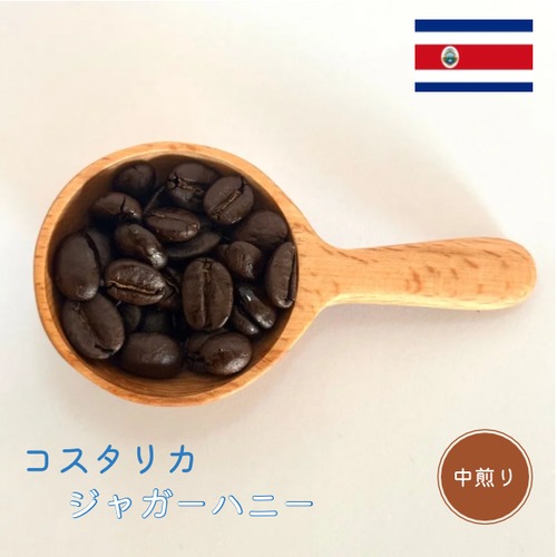中煎り |  コスタリカ　ジャガーハニー　
