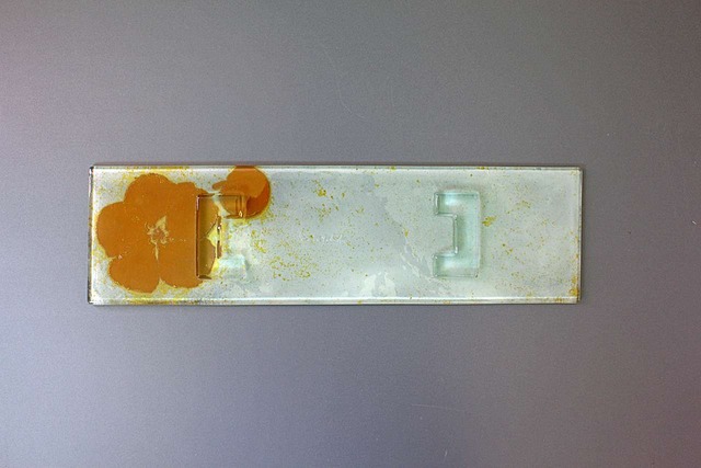 つづるガラスアート　ゆうなの花　HAKU長皿4