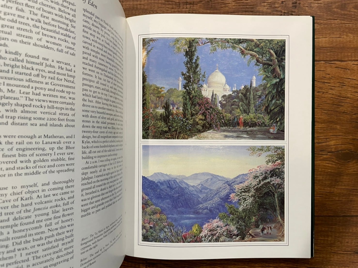 VN040】A Vision of Eden: Life and Works of Marianne North /visual
