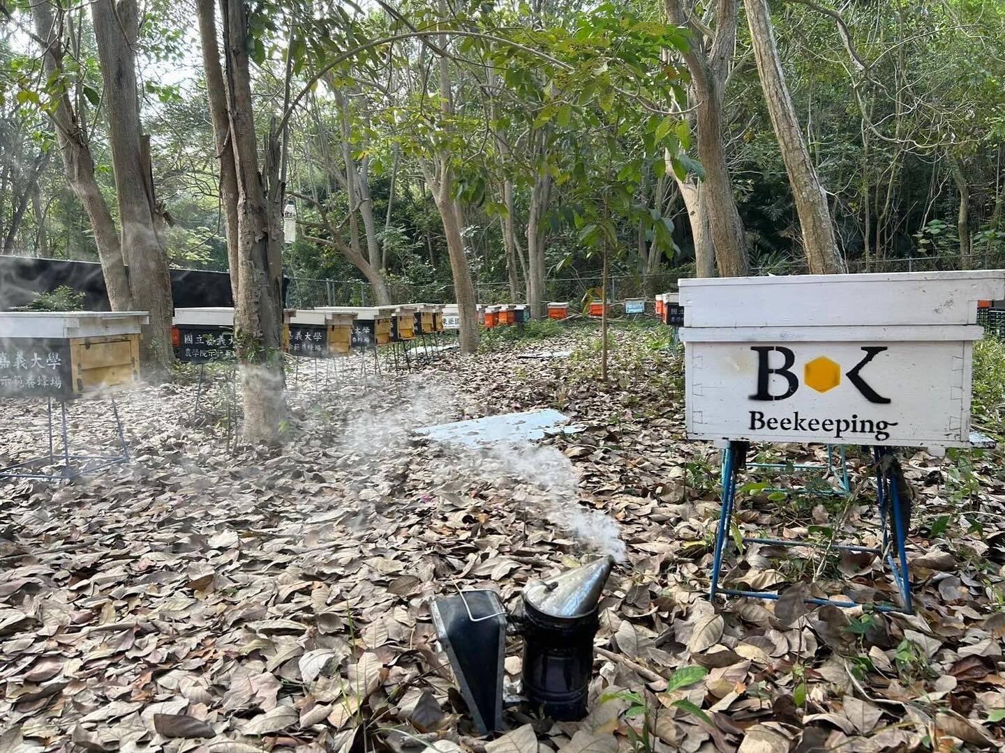 台湾産ローヤルゼリーカプセル40粒（約20〜40日分） | Beekeeping
