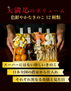 ☆1/17（土）発送☆【厳選きのこ12種と秋野菜付き】　きのこしゃぶしゃぶセット 2名様用