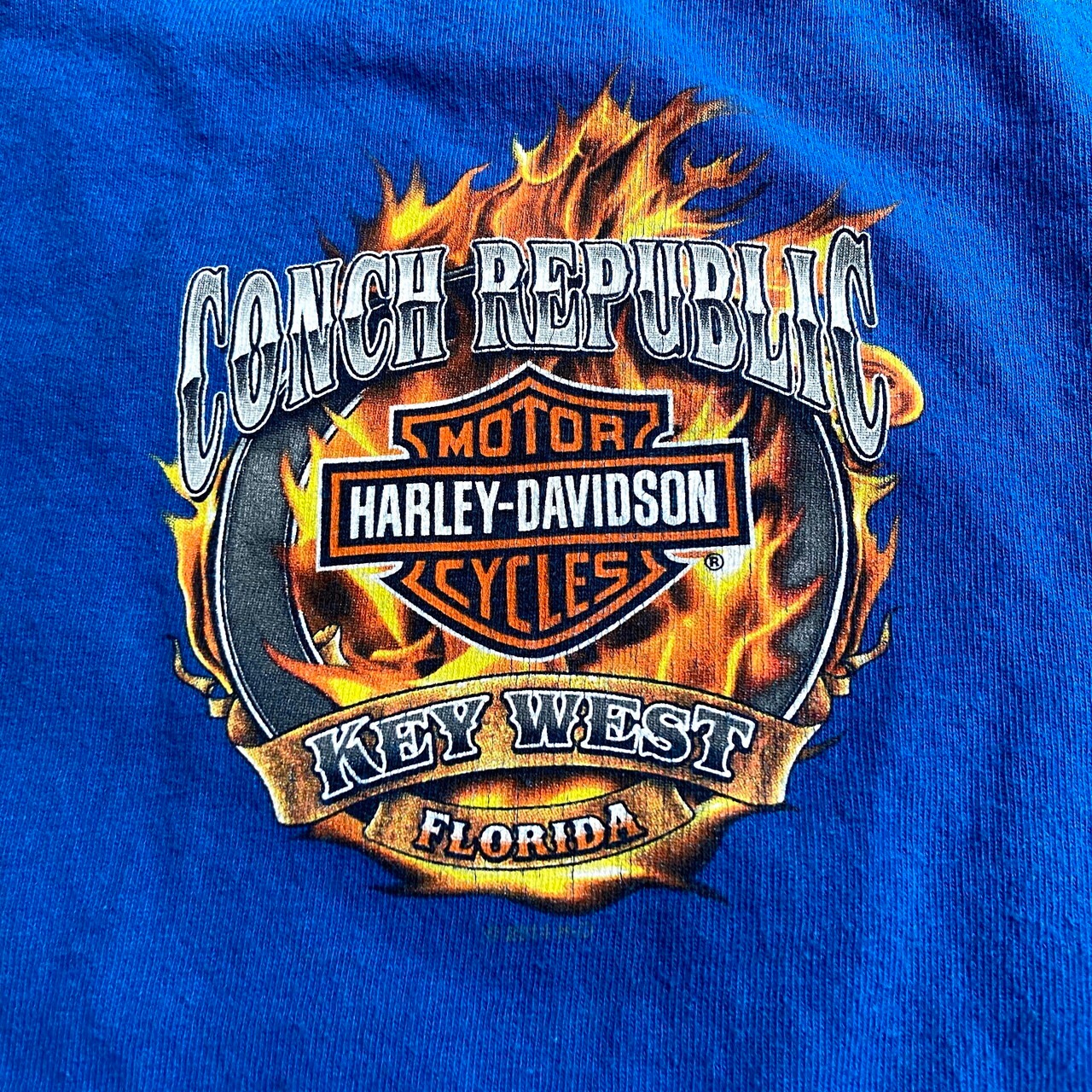 Harley-Davidson ハーレーダビッドソン ファイヤー柄 Tシャツ メンズXL 