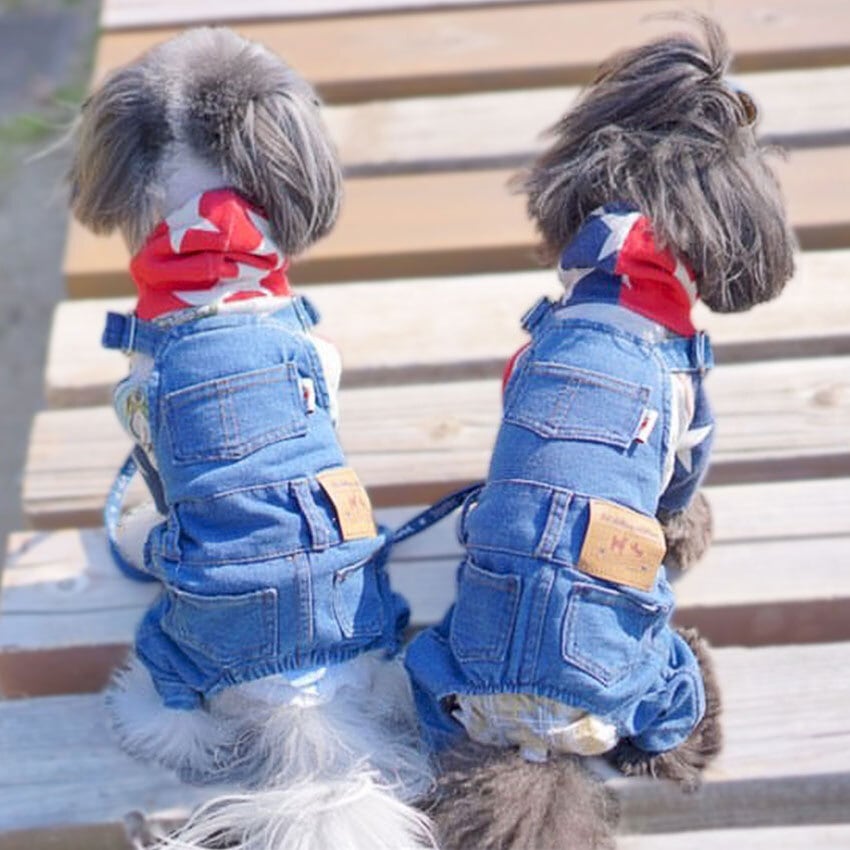 2XL/XL☆ストレッチデニムのオーバーオール♬