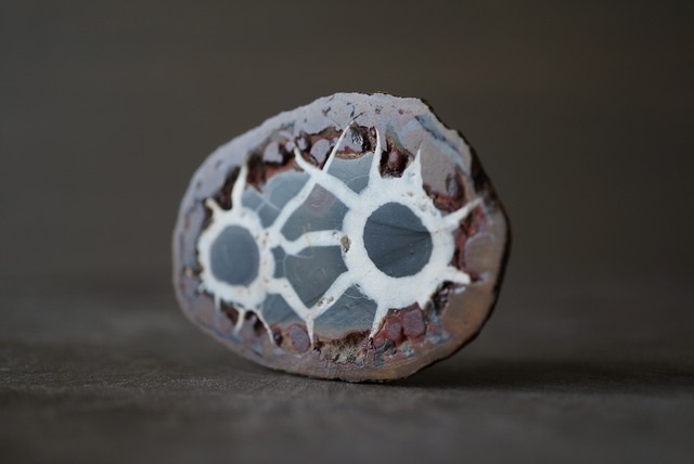 セプタリアン　Septarian　821