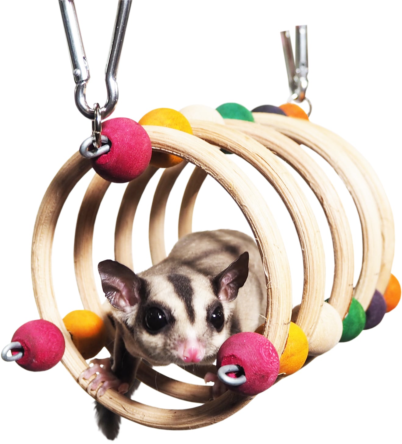 【小動物】 くるくるトンネルS