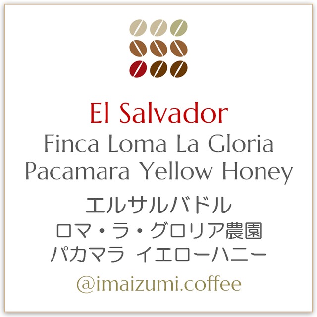 【送料込】エルサルバドル ロマ・ラ・グロリア農園 パカマラ イエローハニー - El Salvador Finca Loma La Gloria Pacamara Yellow Honey - 300g(100g×3)