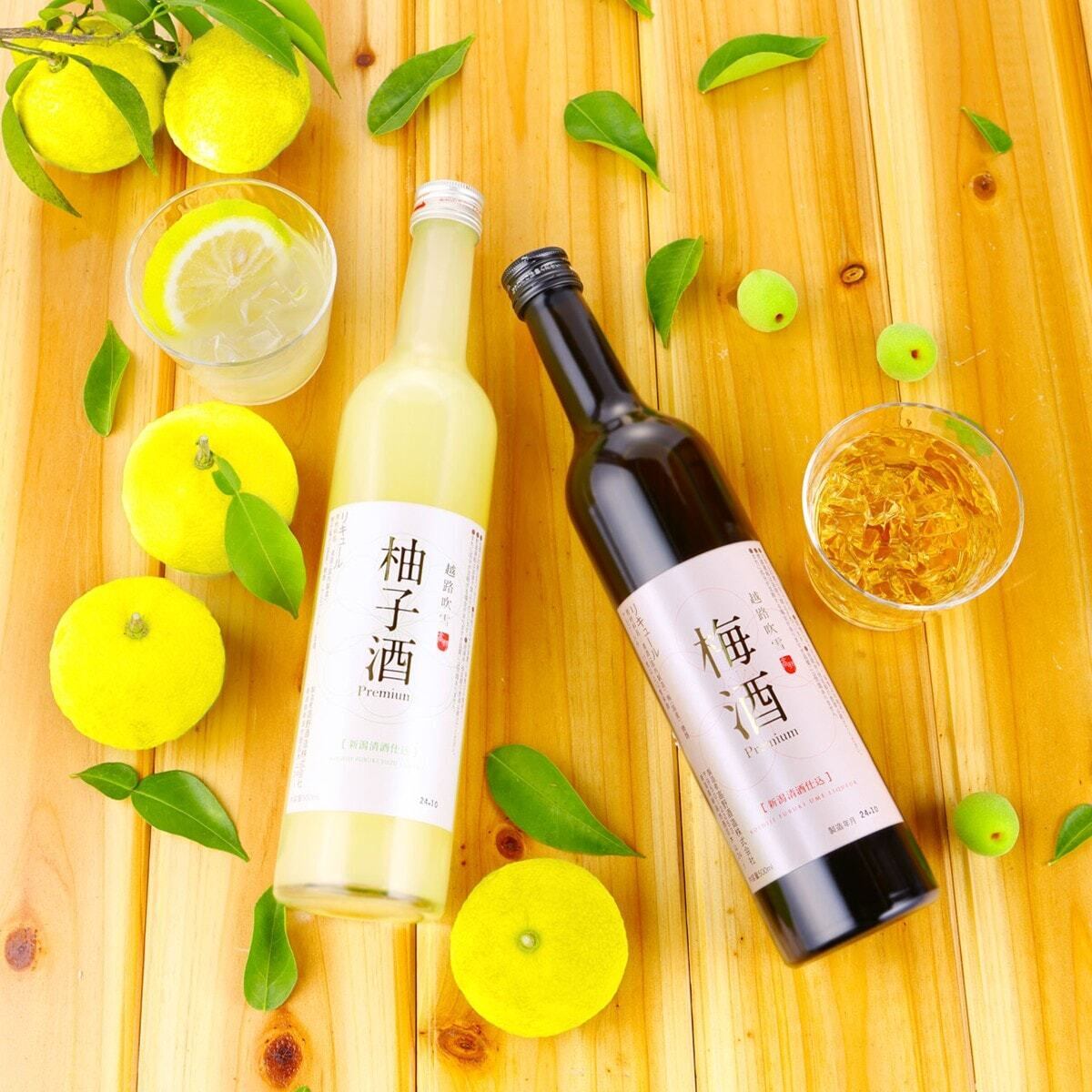 セット | 高野酒造 公式オンラインショップ