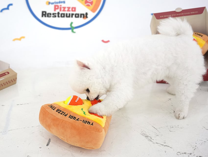 pizza multi toy / ノーズワーク ペット 犬 おもちゃシャカシャカ 知育