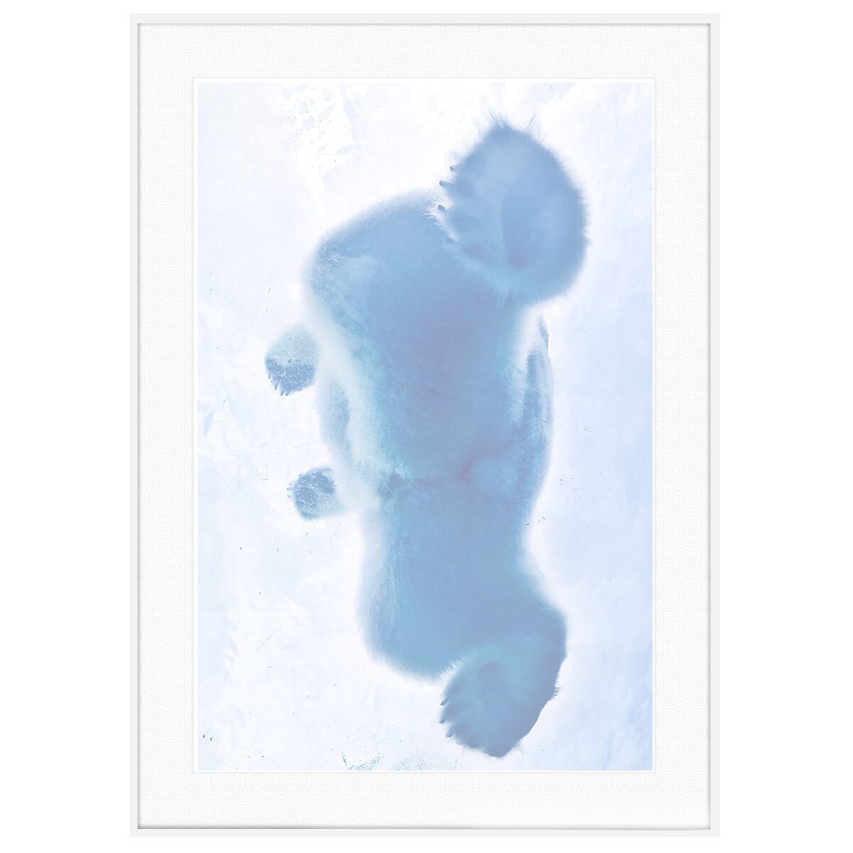 AS1017　動物写真　インテリアアート写真・通販のアートスクワッド　氷の上を歩くホッキョクグマ（シロクマ）　インテリアアート額装