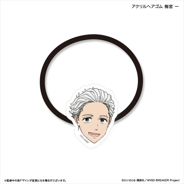 WIND BREAKER アクリルヘアゴム 梅宮 一