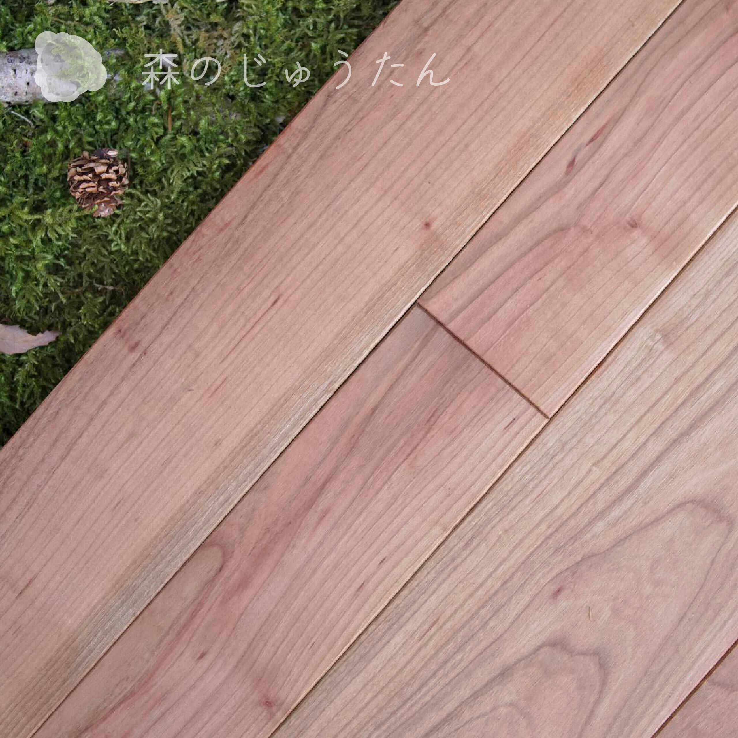 森のじゅうたん「山桜（YAMAZAKURA）ヤマザクラ」1㎡ | 飛騨高山ハード