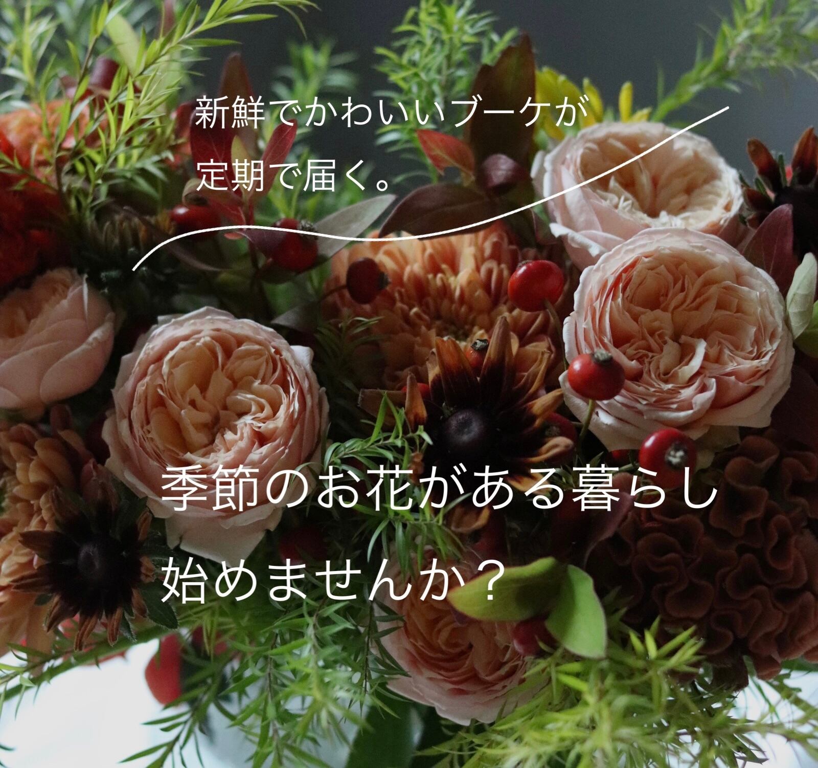 お花の定期便 6回コース