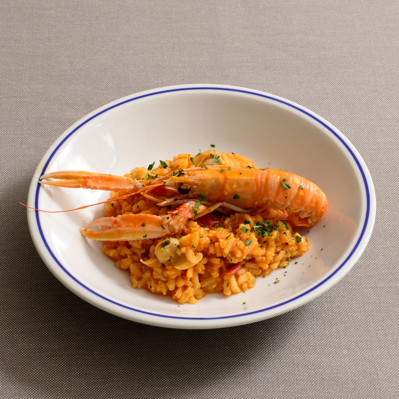サタルニア　ローマ　ブルーライン　パスタボウル