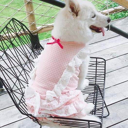 通気性○のフリルワンピース