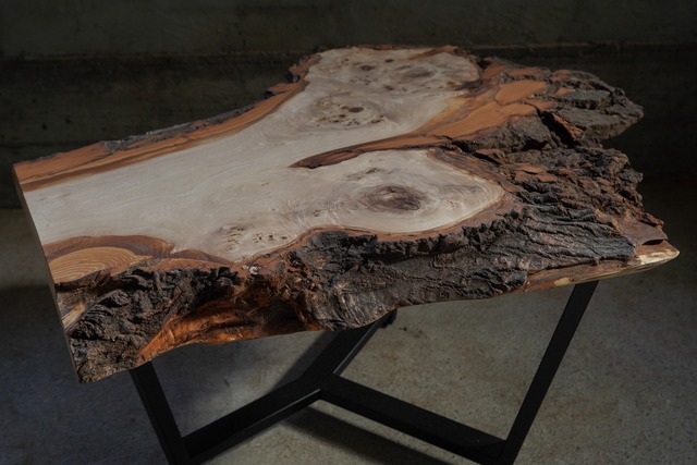 樹皮が野生的なポプラ 一枚板 ローテーブル