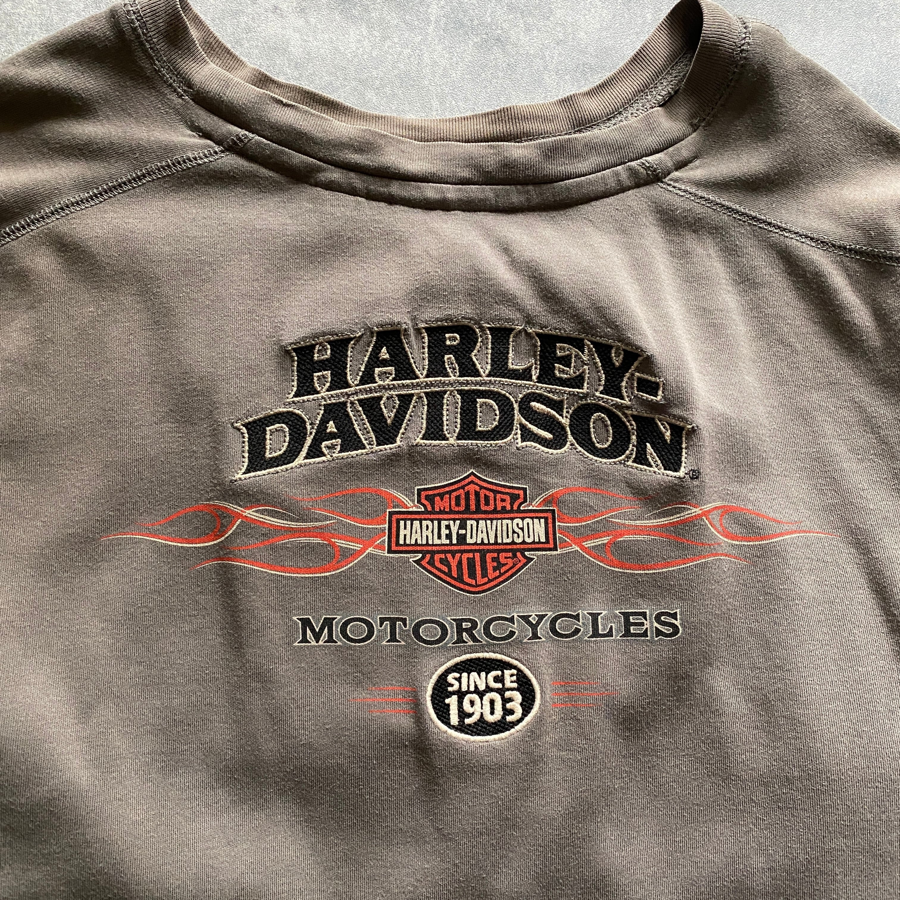 【XLサイズ】ハーレーダビッドソン　両面刺繍ロゴ　スリーブ刺繍ロゴ　グレー　Tシャツ　ロンT