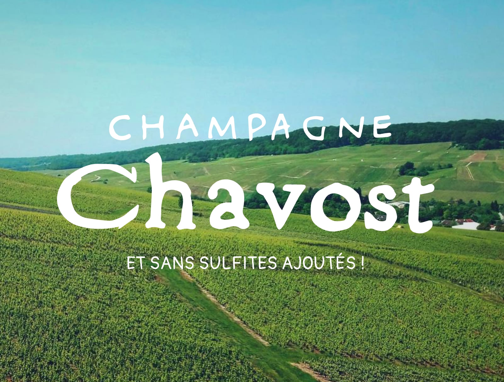 ★新着ワイン★【シャヴォスト】ブラン・ド・ムニエ  NV (2023)