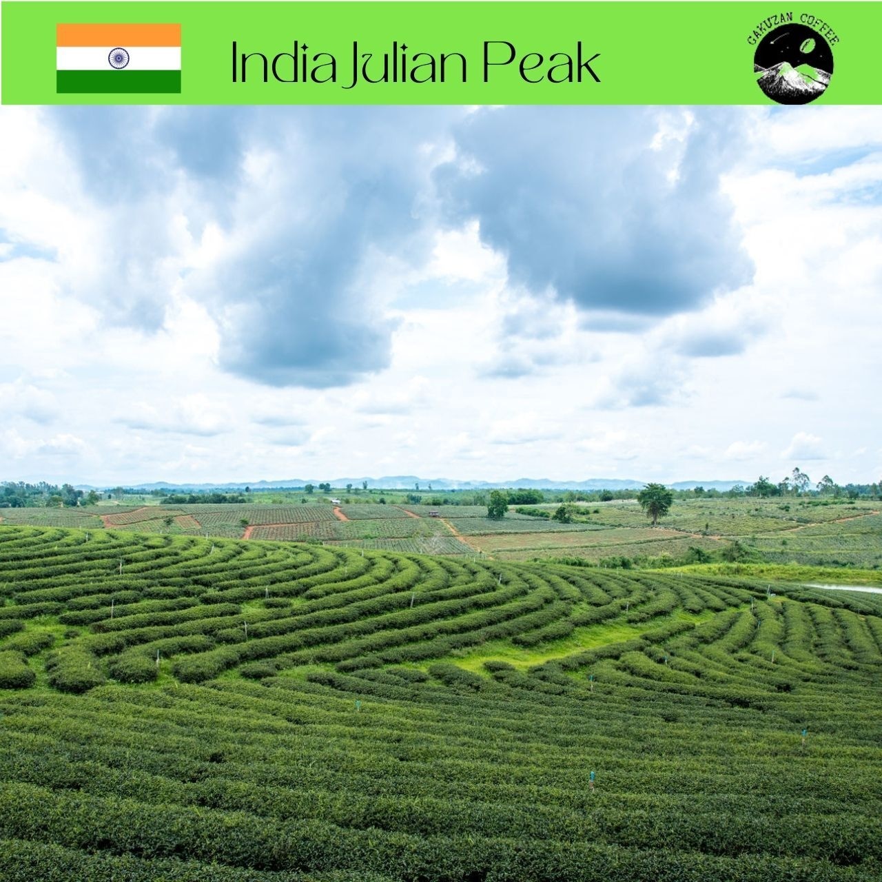 コーヒー　コーヒー豆　自家焙煎　インド APAA ジュリアンピーク農園   □産地:インド □内容量:200g