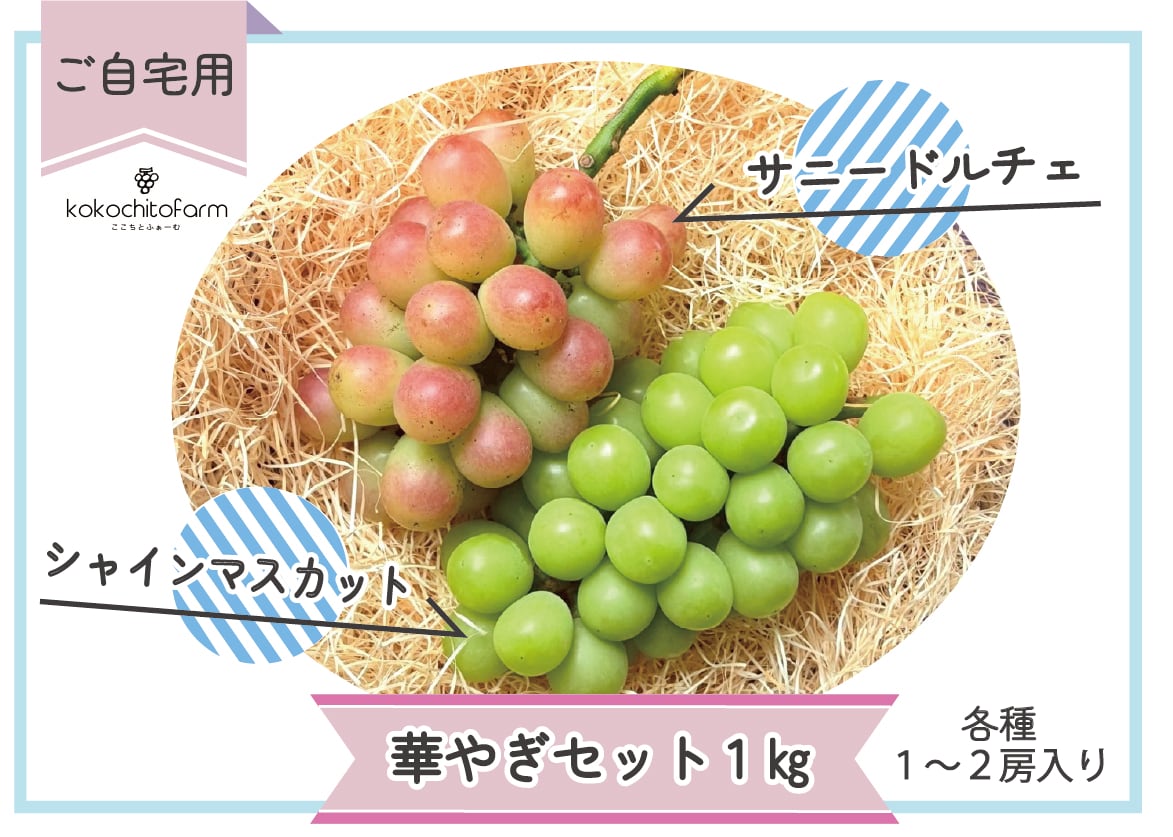 2153bcfd02dcee60f68449eeb6200e