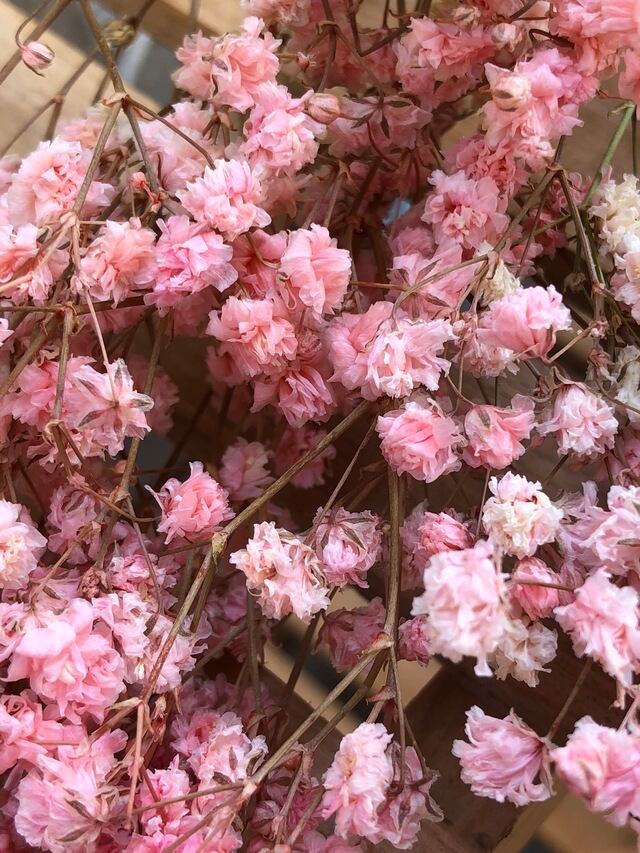 シェア花材 アンティークプリザ カスミソウ ピンク Kazaineko シェア花材 アンティークプリザ カスミソウ ピンク Kazaineko