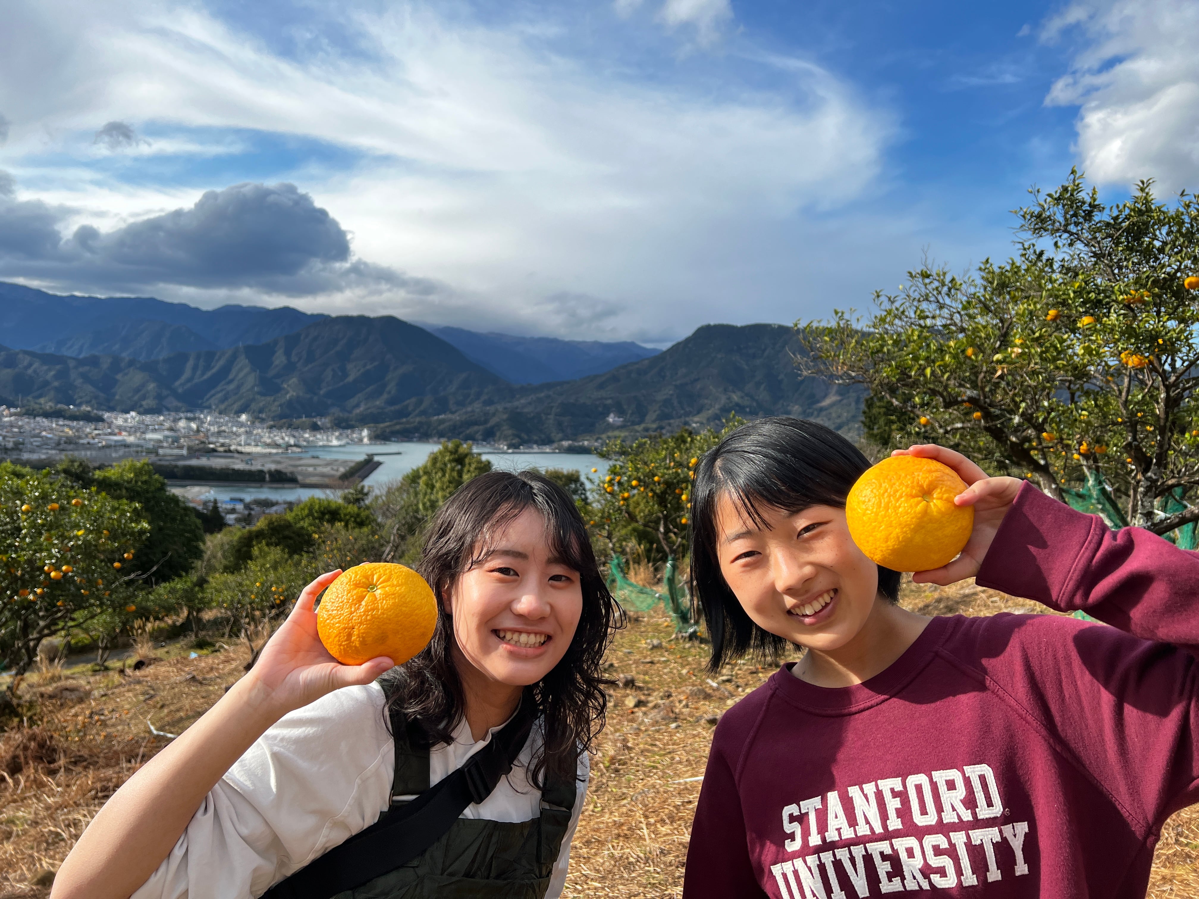 奇跡の甘夏 もっと応援BOX | おわせむかい農園