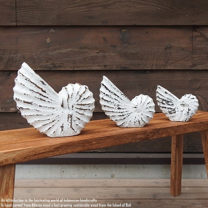 木製 オブジェ オウムガイ Lサイズ 21cm 貝 ホワイトウォッシュ 木彫り