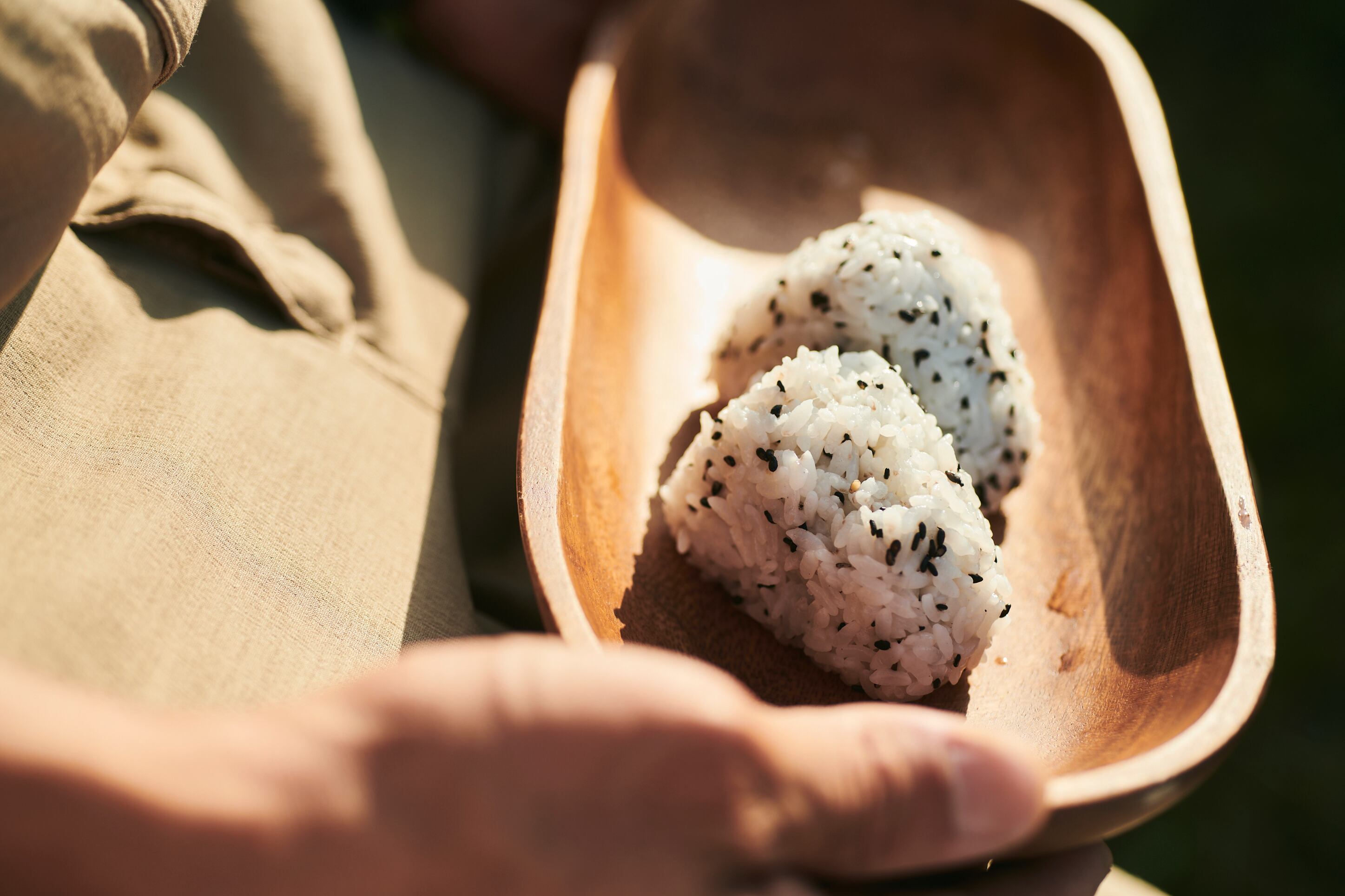 萌えぎの里 ふっくりんこ 米15kg