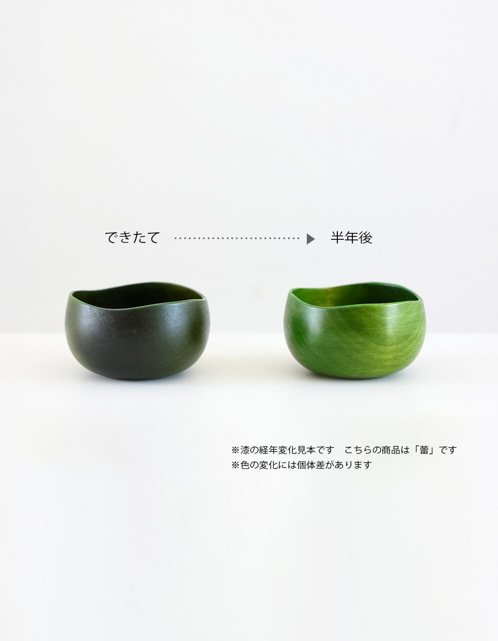 球根 オリーブ（きゅうこん） | YUIYU／植物のような漆器・インテリア