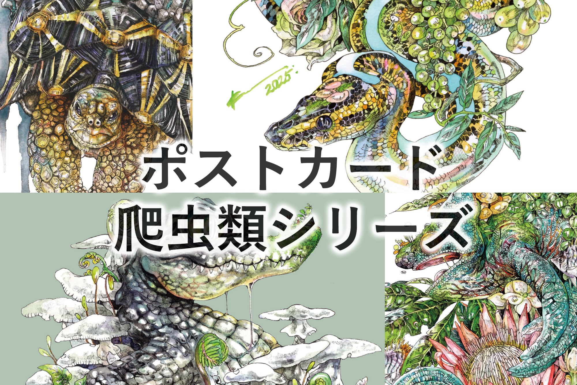 A4スクエアアートプリント | KEN MATSUDA ONLINE STORE