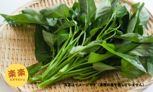 空心菜