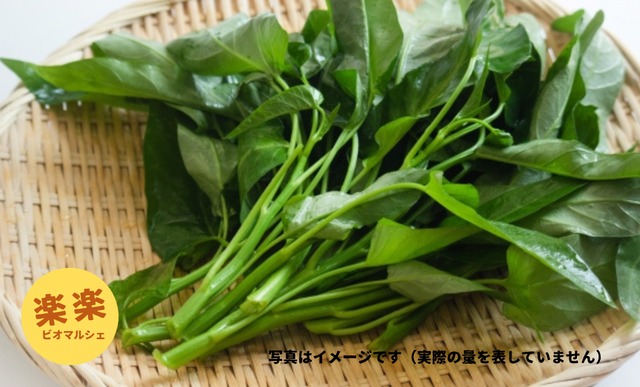 空心菜
