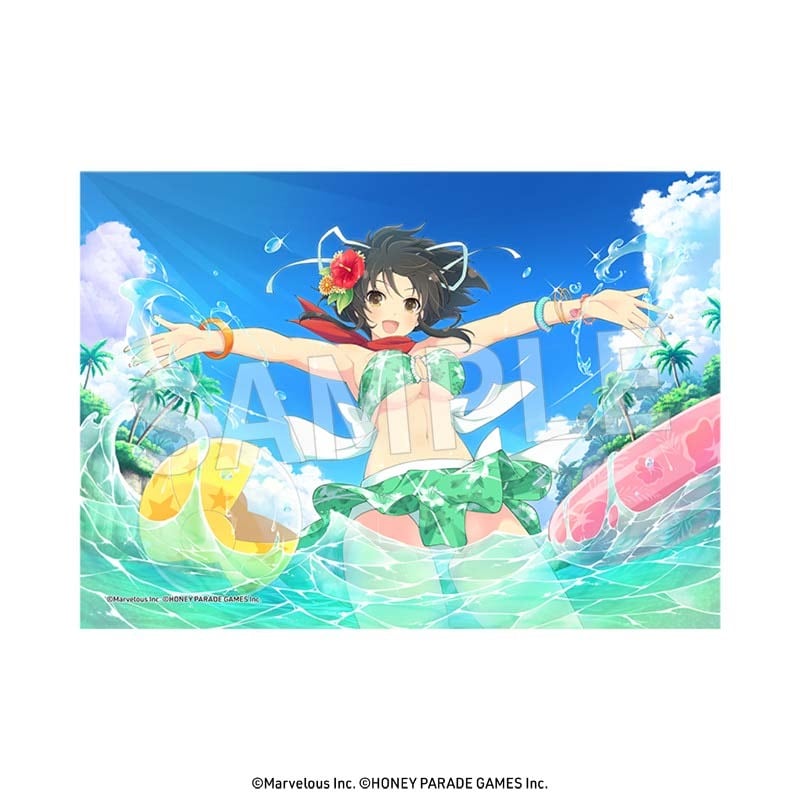 閃乱カグラ 2L判ブロマイド vol.1 セット（8個入） | Eureka!ストア