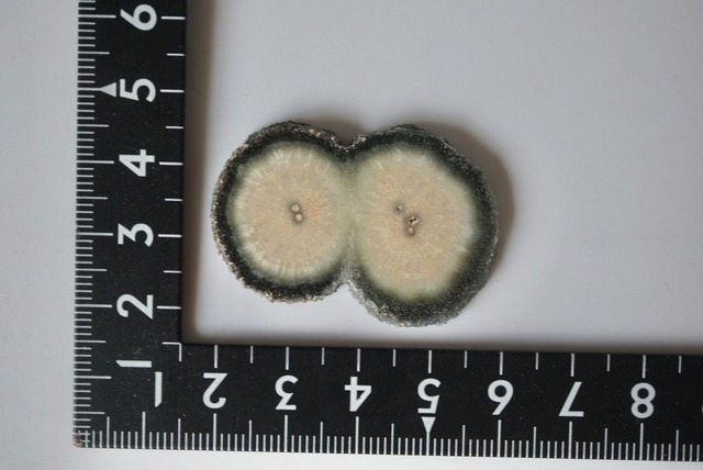 アメシスト(スタラクライトスラブ) Amethyst 1583