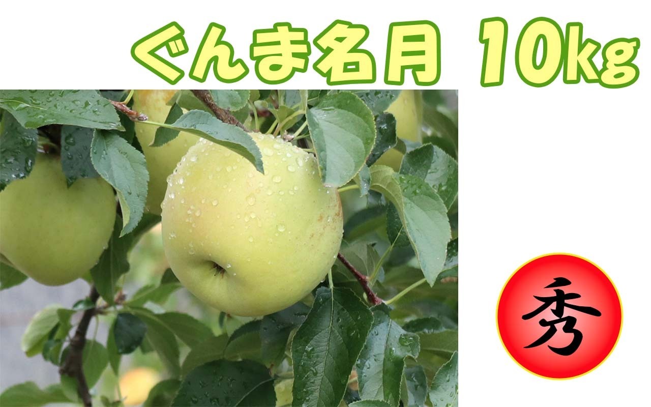 黄色いりんご（ぐんま名月）10ｋｇ