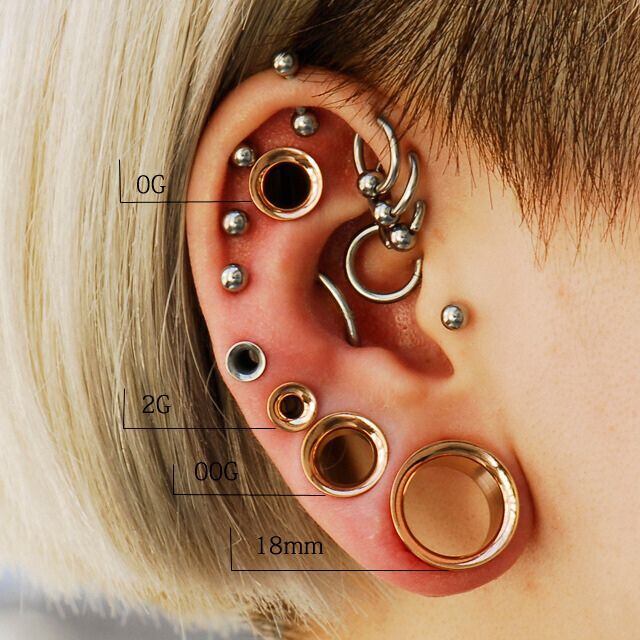 691.大ぶり渦巻き2連ピアスB ボディピアス 0G 00G 日本人の肌に相性がいい ハイポリッシュ ピンク