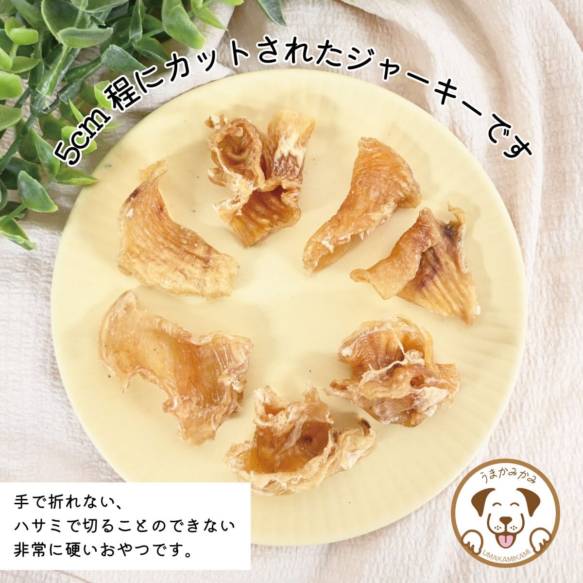 新登場】牛すじジャーキー(国産)100g | 犬の無添加おやつ専門店 | 愛犬