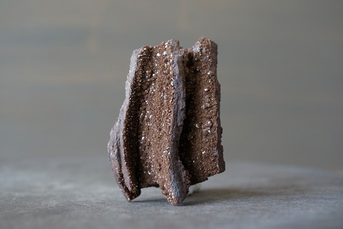 ドイツ産珪化木/クォーツ　Petrified Wood / Quartz　898