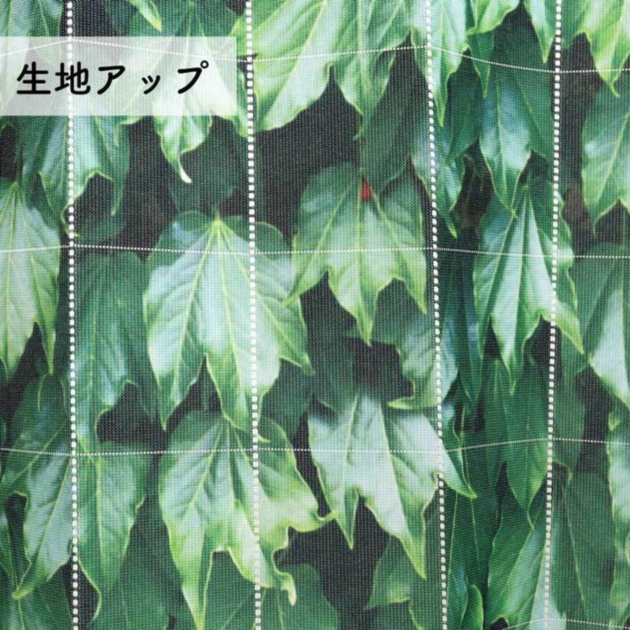 【受注生産】AD グリーンカーテン/アイビー 幅96×200cm
