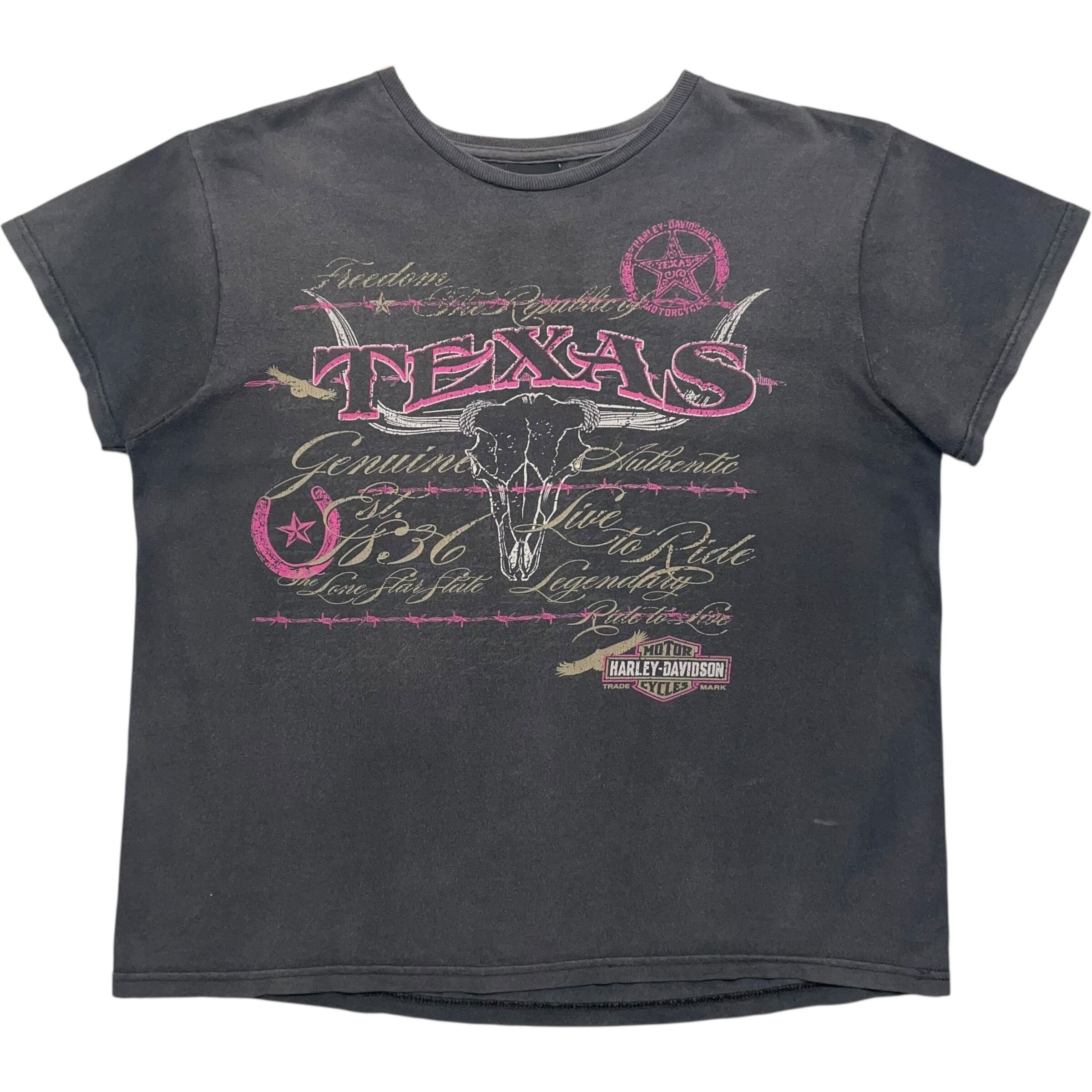 《L》Harley-Davidson ハーレーダビッドソン Tシャツ 両面プリント グレー no.7551