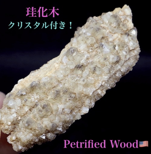 ※SALE※ ユタ州産 珪化木 ペトリファイドウッド 37g PFW015　 鉱物 標本 原石 天然石 パワーストーン