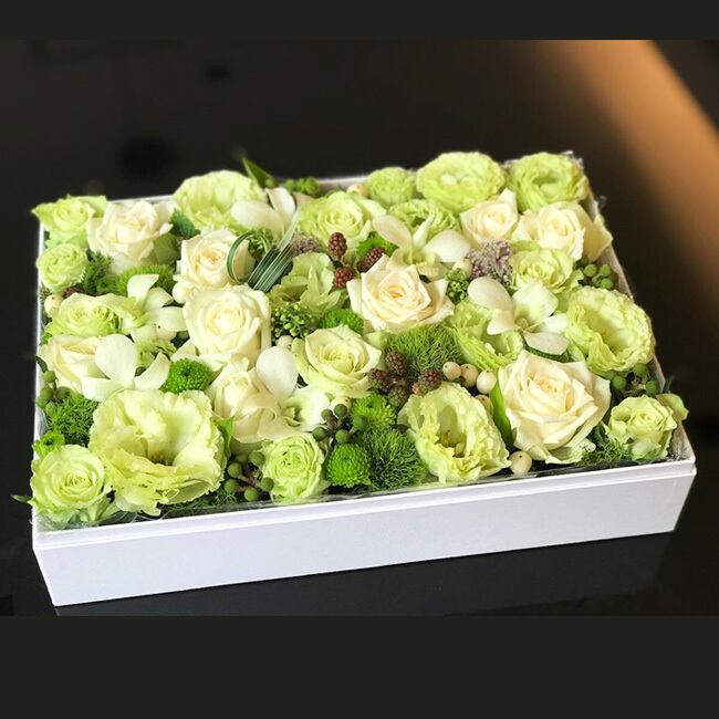 ゴールドプレスティージ プラチナローズ | 若松 花のチモト