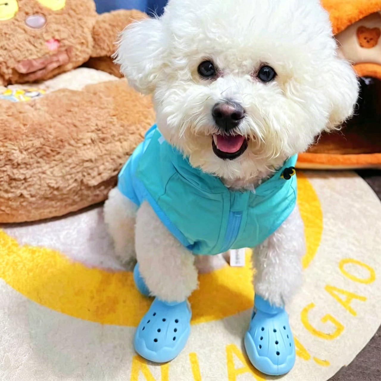 WQ76 .犬用サンダル 4足セット 小型犬・中型犬用｜トイプードル