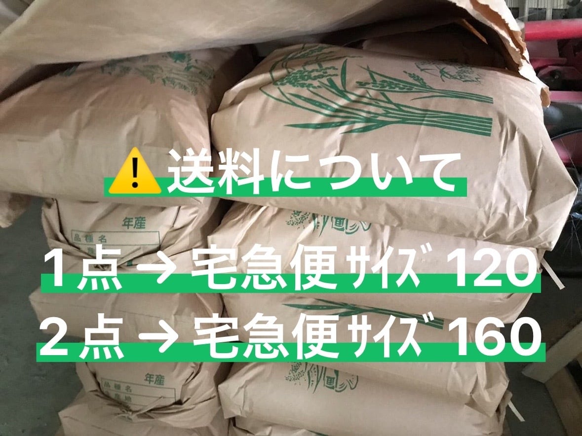 令和8年度産 MIISA米【10kg】※玄米 | MIISA