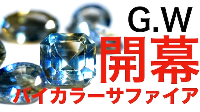 【G.W秘密開催】バイカラーサファイア＋スペシャル宝石［No.Q-2954］
